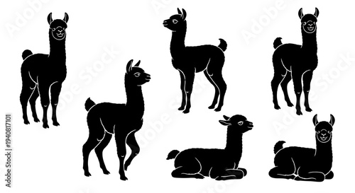 Black Silhouette Llamas Collection Vector Illustration