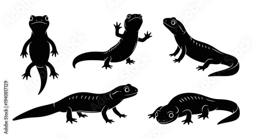 Black Silhouette Salamander or Newt Collection on White Background