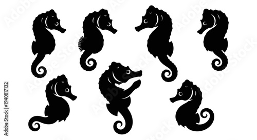 Black Silhouette Seahorse Collection: Marine Life, Ocean Creatures, Underwater World