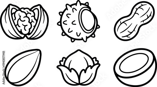 Line art flat design icons of six nuts walnut chestnut peanut almond hazelnut coconut arranged in clean grid black outline