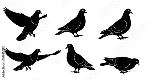 Pigeon Silhouettes: Six Poses of Flying and Standing Birds on White Background