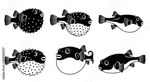 Pufferfish Collection: Six Illustrations of Diverse Pufferfish Species