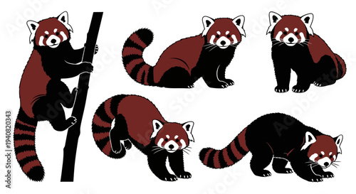 Red Panda Collection: Climbing, Sitting, Walking, and Resting Poses