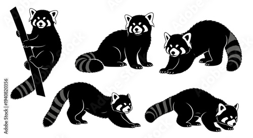 Red Panda Set: Climbing, Sitting, Stretching, Walking - Black and White Vector Illustrations