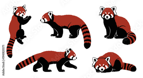 Red Panda Collection: Five Poses of Adorable Red Pandas in Various Activities