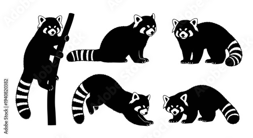 Red Panda Collection: Climbing, Sitting, Stretching, Walking - Cute Animal Silhouettes