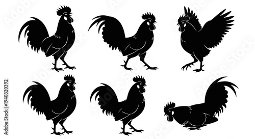 Rooster Silhouette Collection: Diverse Poses of a Proud Cock