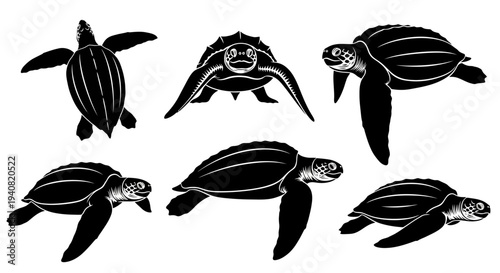 Sea Turtle Silhouettes Collection: Diverse Poses of Marine Reptiles