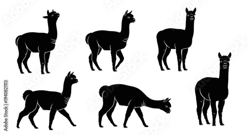 Set of Black Alpaca Silhouettes in Various Poses on White Background