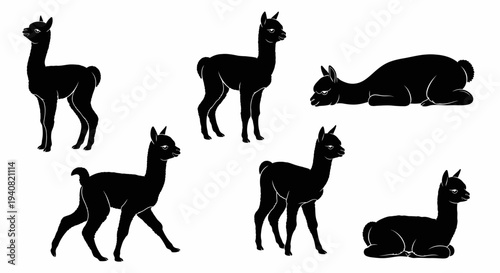 Set of Black Alpaca Silhouettes in Various Poses