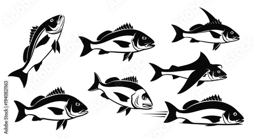 Set of Black and White Fish Silhouettes, Vector Collection of Aquatic Animals