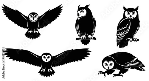 Set of Black and White Owl Silhouettes in Various Poses