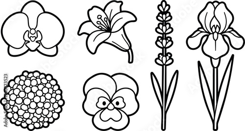 Line art vector set of six floral icons close up orchid lily pansy lavender chrysanthemum and iris black outline on white