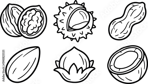 Line art vector six assorted nut icons walnut chestnut peanut almond hazelnut coconut half arranged in horizontal grid black outlines