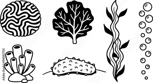 Line art marine vector set featuring brain coral leafy seaweed tubular sponge sea cucumber flowing kelp fronds and bubbles isolated