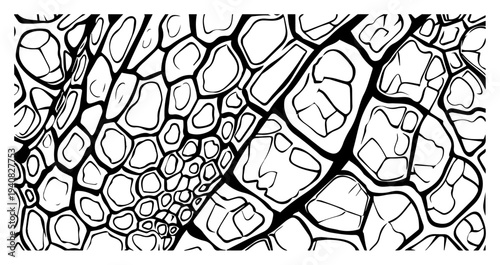 Abstract cracked texture pattern, organic stone or skin surface design, geometric vector background