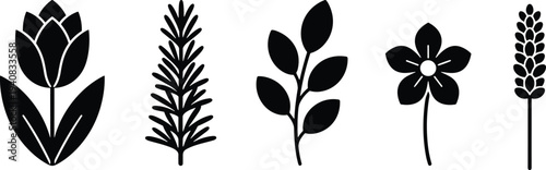 Set of Black Minimalist Floral and Botanical Silhouettes Featuring Tulip Rosemary Leaf and Wildflower Designs for Natural Branding