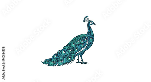 A stylized peacock with elaborate teal and blue feather patterns stands in profile on a pristine white background.