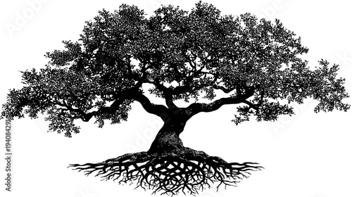 Silhouetted illustration of a large tree with expansive branches, dense foliage, and sprawling roots
