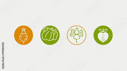 Four colorful circular icons featuring outlined illustrations of various vegetables