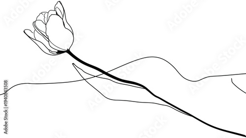 A black and white line drawing of a tulip flower with flowing stems and petals