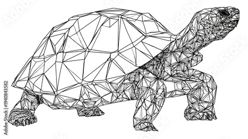 Low-poly illustration of a tortoise, rendered in grayscale, geometric facets creating its form