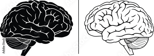 Human brain diagram contrast black white isolated on transparent background, Vector