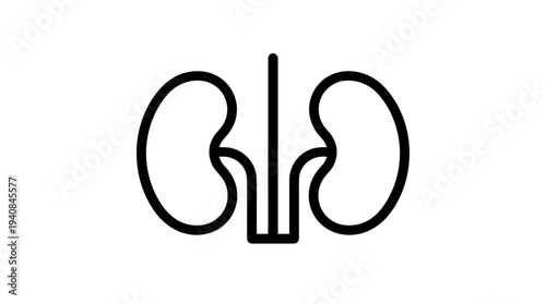 A simple line drawing of a human kidney and ureter