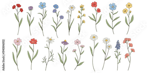 Flower illustration set, colorful botanical design, diverse petal motif artwork, garden plant symbol, floral diversity decorative motif, educational artwork, flat vector drawing