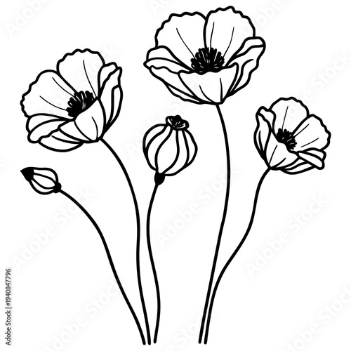 thoughtful
A vintage hand drawn poppy and tulip vector illustration featuring a floral pattern with rose leaves and spring blossom buds for a nature inspired art design