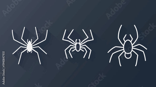 Three minimalist spider illustrations in white on a dark blue chalkboard-like background