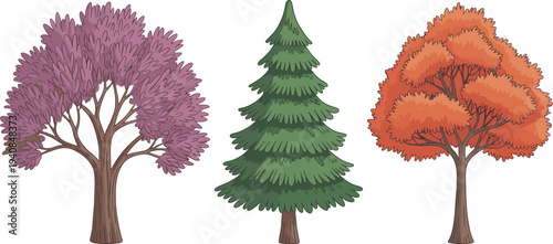Stylized illustration of three distinct trees with colorful foliage, conifer shape, and broad canopy, symbolizing nature diversity, botanical study, seasonal change, and educational artwork design.