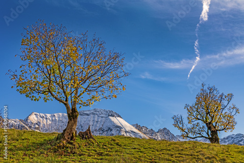 Hinterstein - Herbst - Bad Hindelang - Allgäu - Alpen - Ahorn - Bäume - malerisch