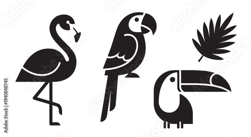 Vector illustration of tropical birds including flamingo parrot and toucan with leaf graphic design elements