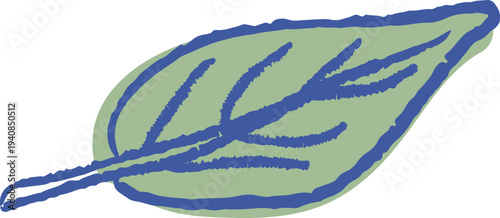 Leaf Hand Drawn Sketch