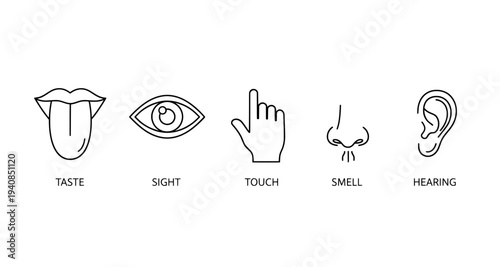 Sense icon set representing taste sight touch smell and hearing
