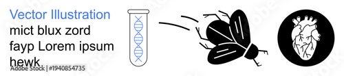 Science, biology, medical research, genetics, entomology, anatomy. DNA helix in a test tube, a flying insect an anatomical heart icon. Science and biology concepts for education and research