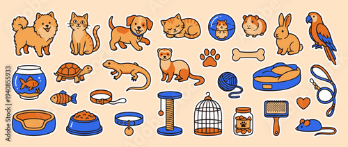 Assorted Pet Essentials: A curated collection of essential pet supplies, featuring a delightful assortment of cuddly animals and their accessories.