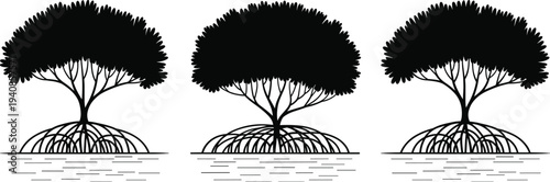 Mangrove tree silhouette vector set, black and white coastal forest roots nature botanical illustration tropical wetland ecosystem design
