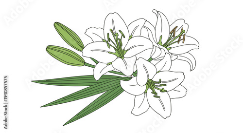 A beautiful bouquet of white lilies with green leaves, illustrated in a modern flat style, perfect for floral designs
