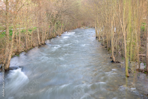 Wallpaper Mural Flowing river through forest trees Torontodigital.ca