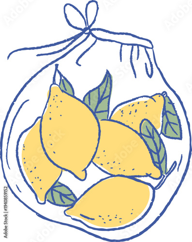 Lemon In Mesh Bag Sketch