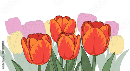 A vibrant illustration of blooming tulips in various colors, featuring a modern flat style, perfect for floral designs