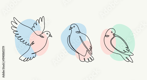 Three Hand Drawn Birds in Flight and Perched.