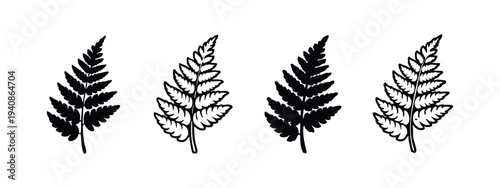 Collection of stylized fern leaves in black and white solid and outline styles, representing woodland flora.