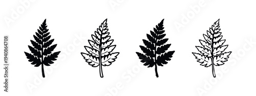Various stylized fern leaf designs in black and white solid and outline styles, ideal for nature-themed graphics.