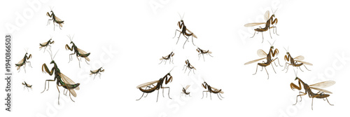 Swarm of mantidflies Mantispidae isolated on white background, mantis-like flies, raptorial fly swarm, predatory insect cluster, flying Mantispidae macro, insect swarm photography, dipteran predator f