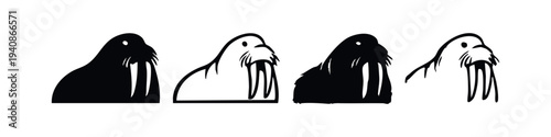 Walrus Vector Icons in Various Stylized Forms, Arctic Animal Illustrations