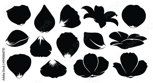 Collection of black silhouettes of various flower petals and leaves.