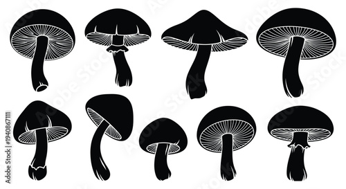 Various black silhouettes of mushrooms with different cap shapes and stem lengths.